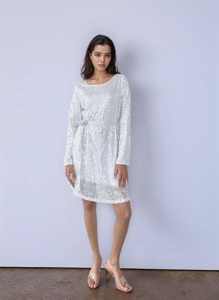 Silver Sequined Mini Dress