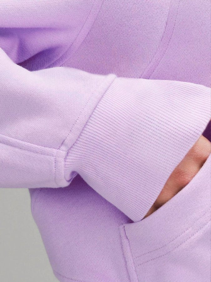 Purple Full Sleeve Collared Neck Sweatshirt