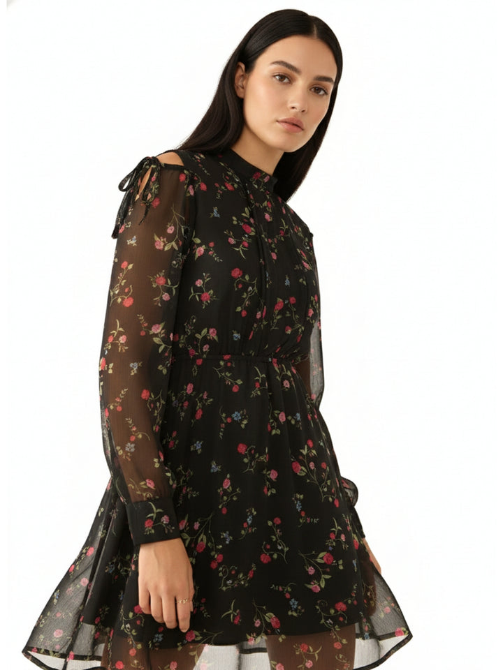 Black Floral Sheer Fit & Flare Mini Dress