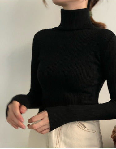 Black Turtle Neck Top