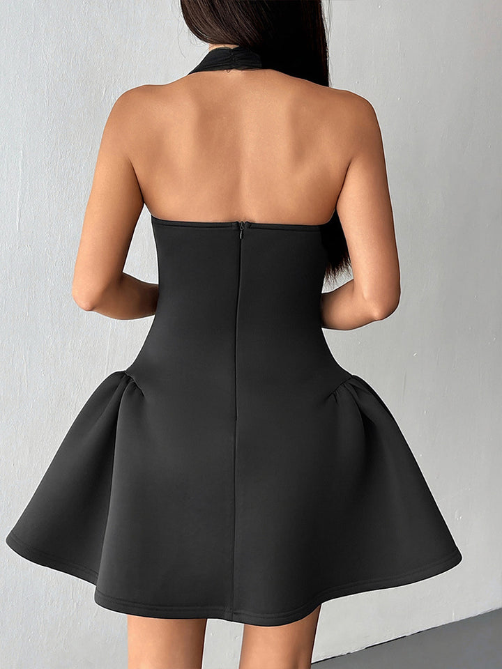 Black Mesh Halter Detailed Skater Dress