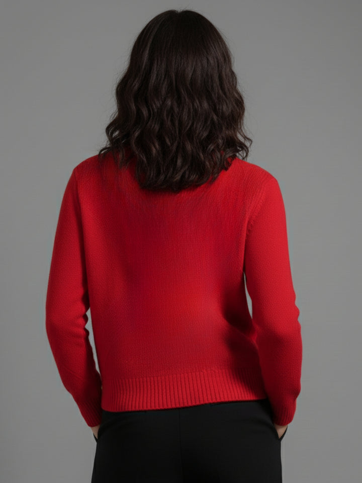 Red Textured Regular Basic Sweater