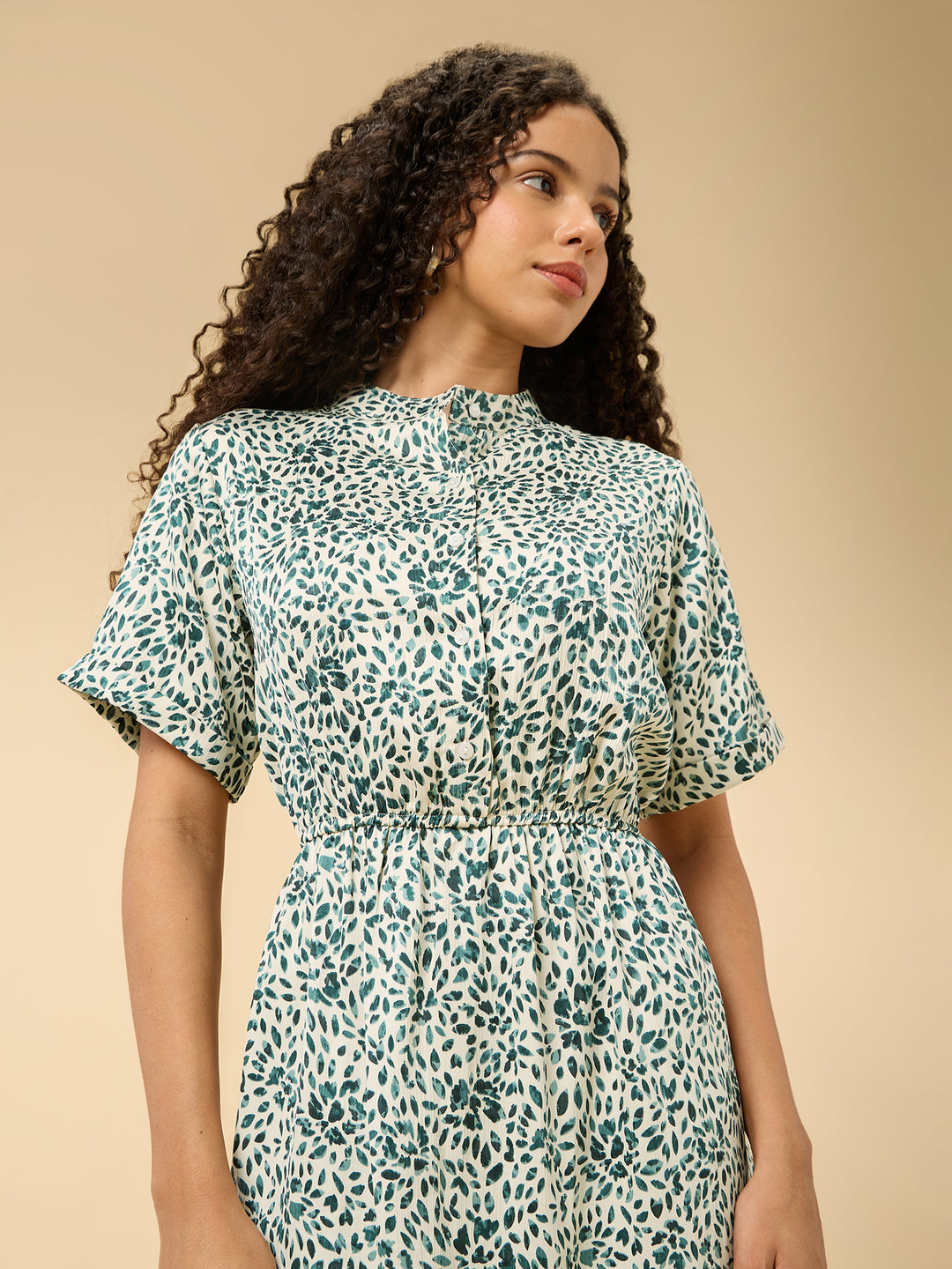 Multi Half Sleeved Buttondown Dress