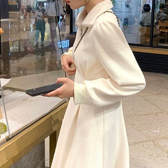 Cream A-Line Dress With Front Zipper Detail