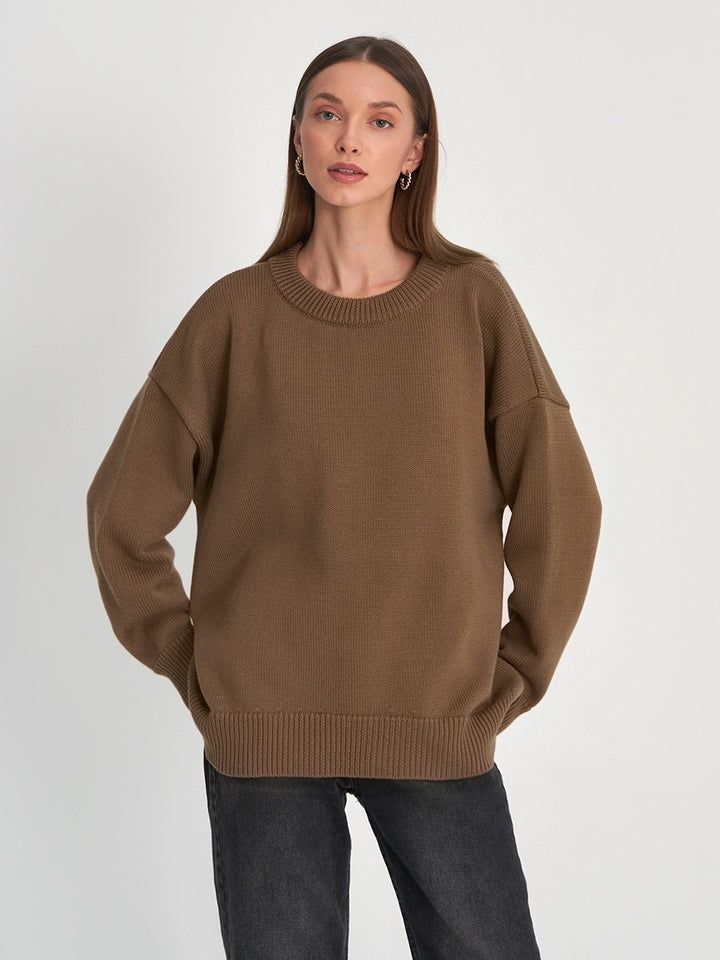 Brown Relaxed High Neck Solid Sweater