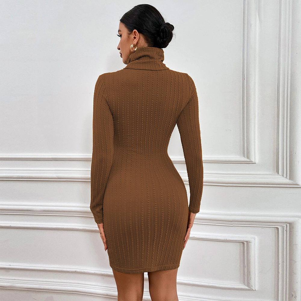 Brown Textured Knit Full Sleeve High Neck Dress
