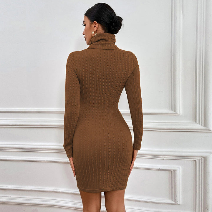 Brown Textured Knit Full Sleeve High Neck Dress