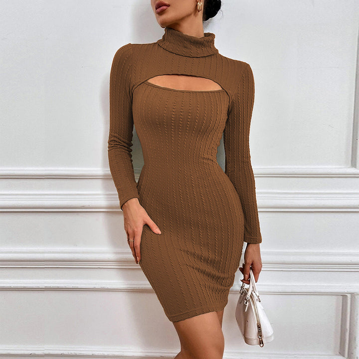Brown Textured Knit Full Sleeve High Neck Dress
