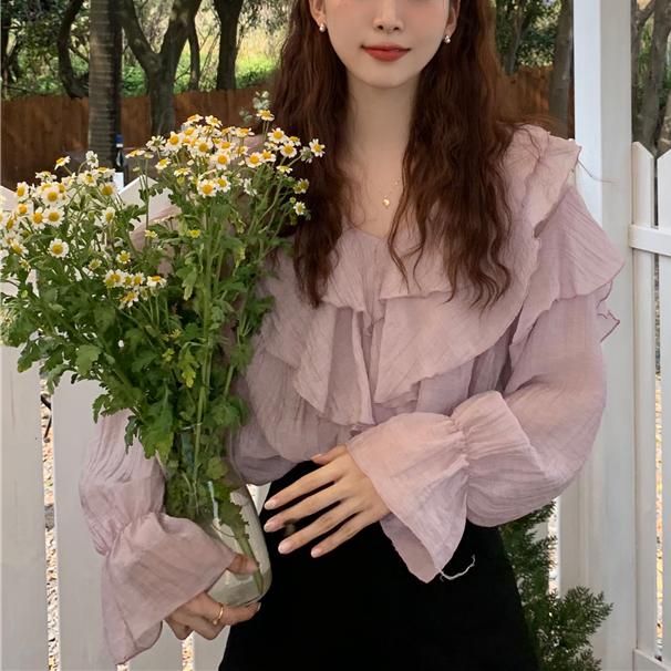 Purple V Neck Sheer Blouse