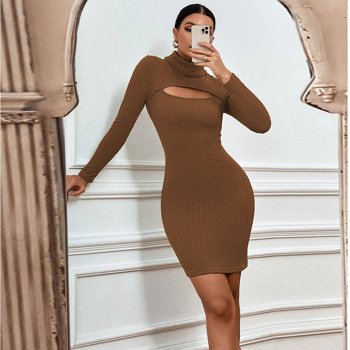 Brown Textured Knit Full Sleeve High Neck Dress