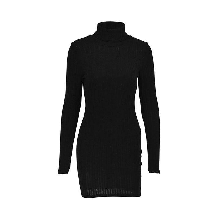 Black High Neck Solid Bodycon Dress