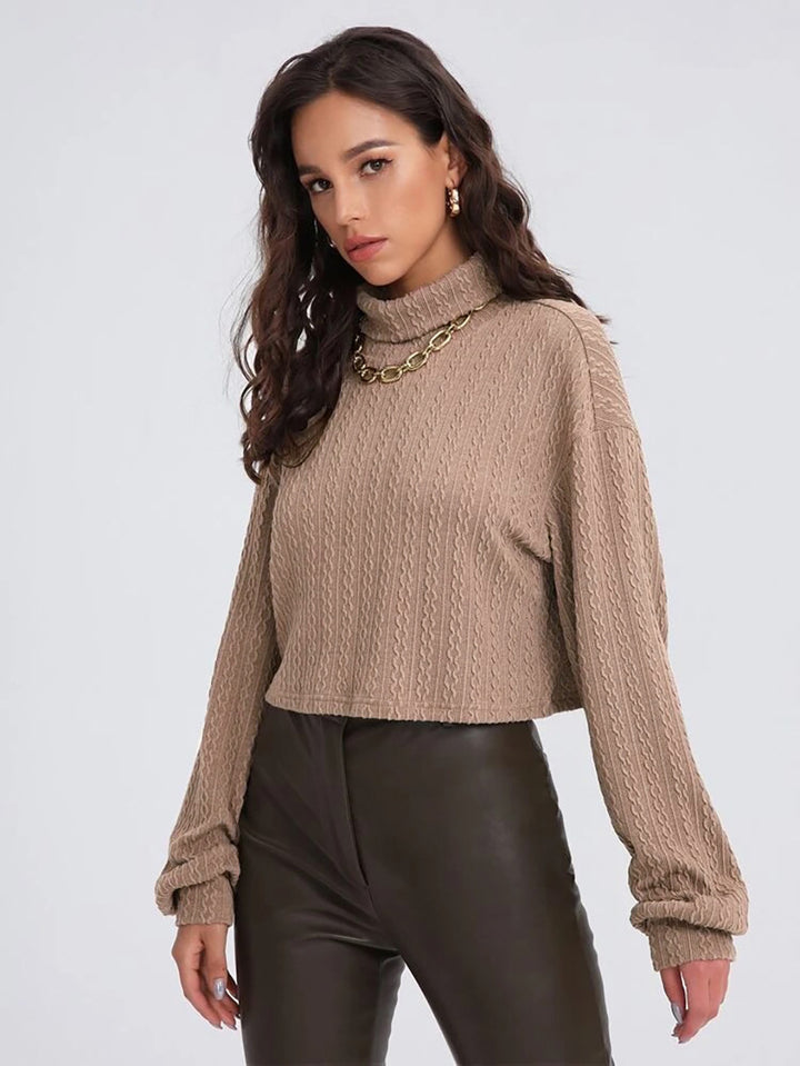 Beige Full Sleeve Mock Neck Textured Sweatshirt