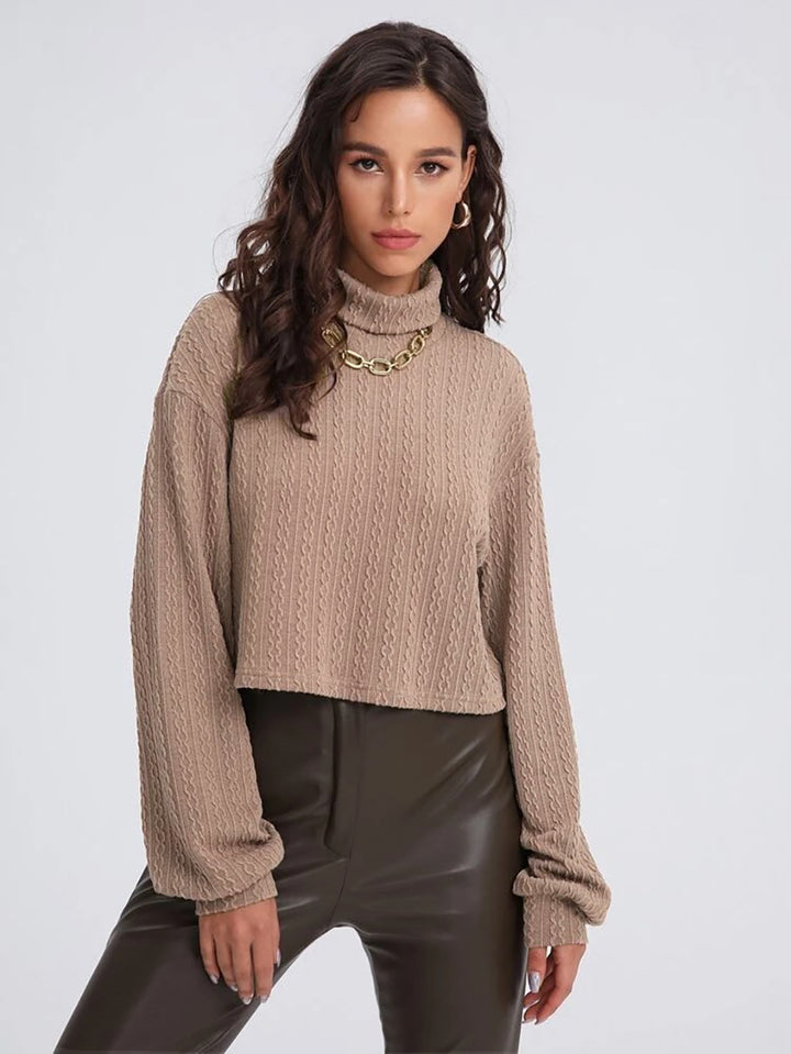 Beige Full Sleeve Mock Neck Textured Sweatshirt