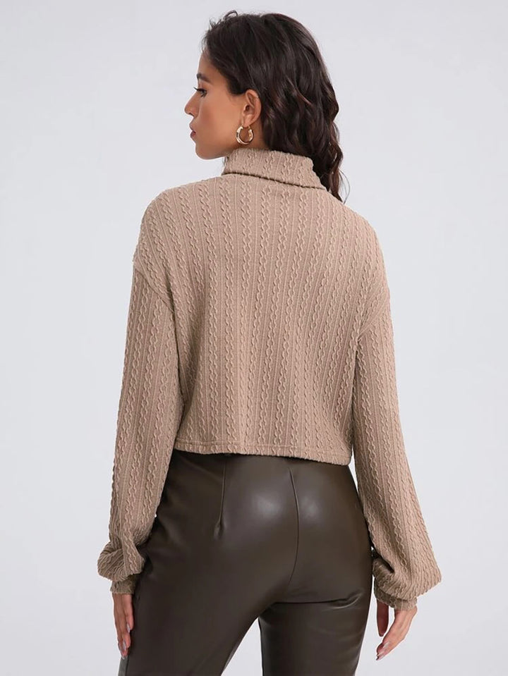 Beige Full Sleeve Mock Neck Textured Sweatshirt