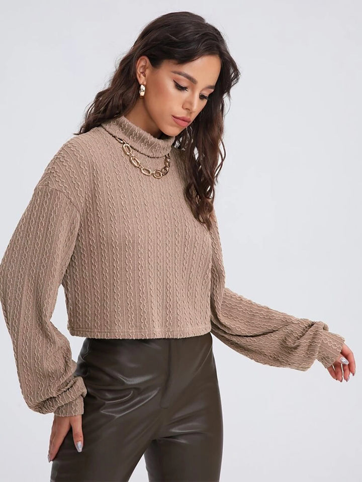 Beige Full Sleeve Mock Neck Textured Sweatshirt